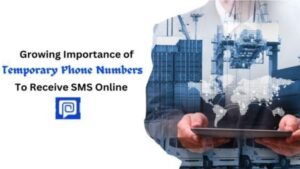 Growing Importance of Temporary Phone Numbers to Receive SMS Online