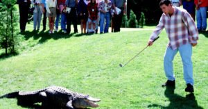 Morris, Alligator of ‘Happy Gilmore’ Fame, Dies at 80 (or More)